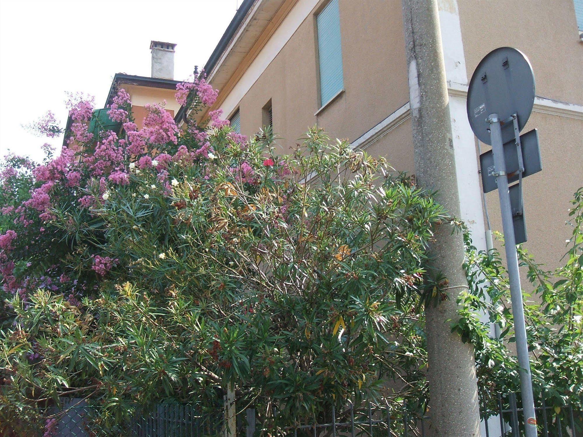 B&B Accorsi Bologna Exterior foto